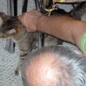 Bob scratches Elsie's back